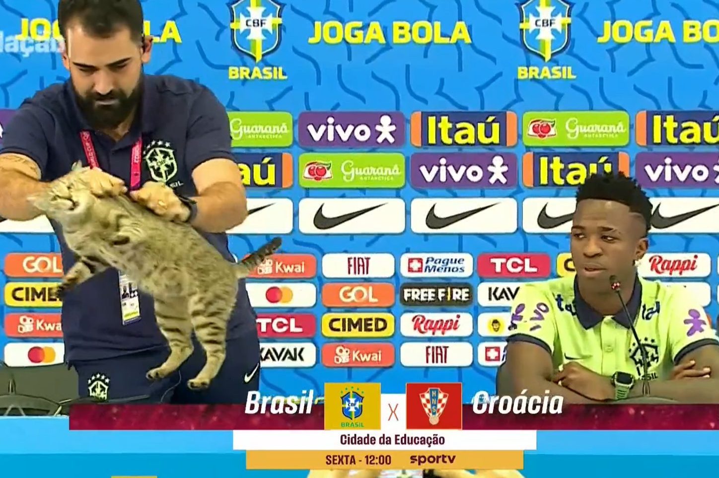 gatto-“lanciato”-in-conferenza-stampa-ai-mondiali,-le-ong-crocifiggono-il-brasile:-“faremo-causa”
