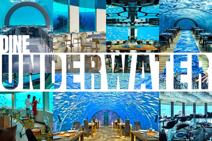 7-underwater-restaurants-in-maldives-for-a-dream-dining-under-the-sea