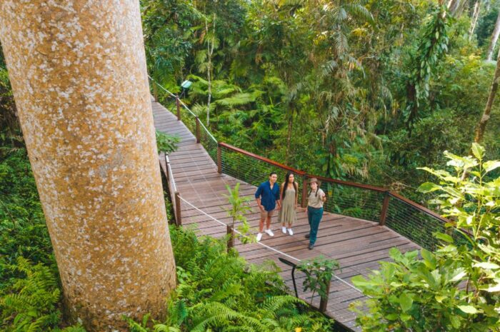 tropical-north-queensland-launches-its-new-sustainable-travel-hub